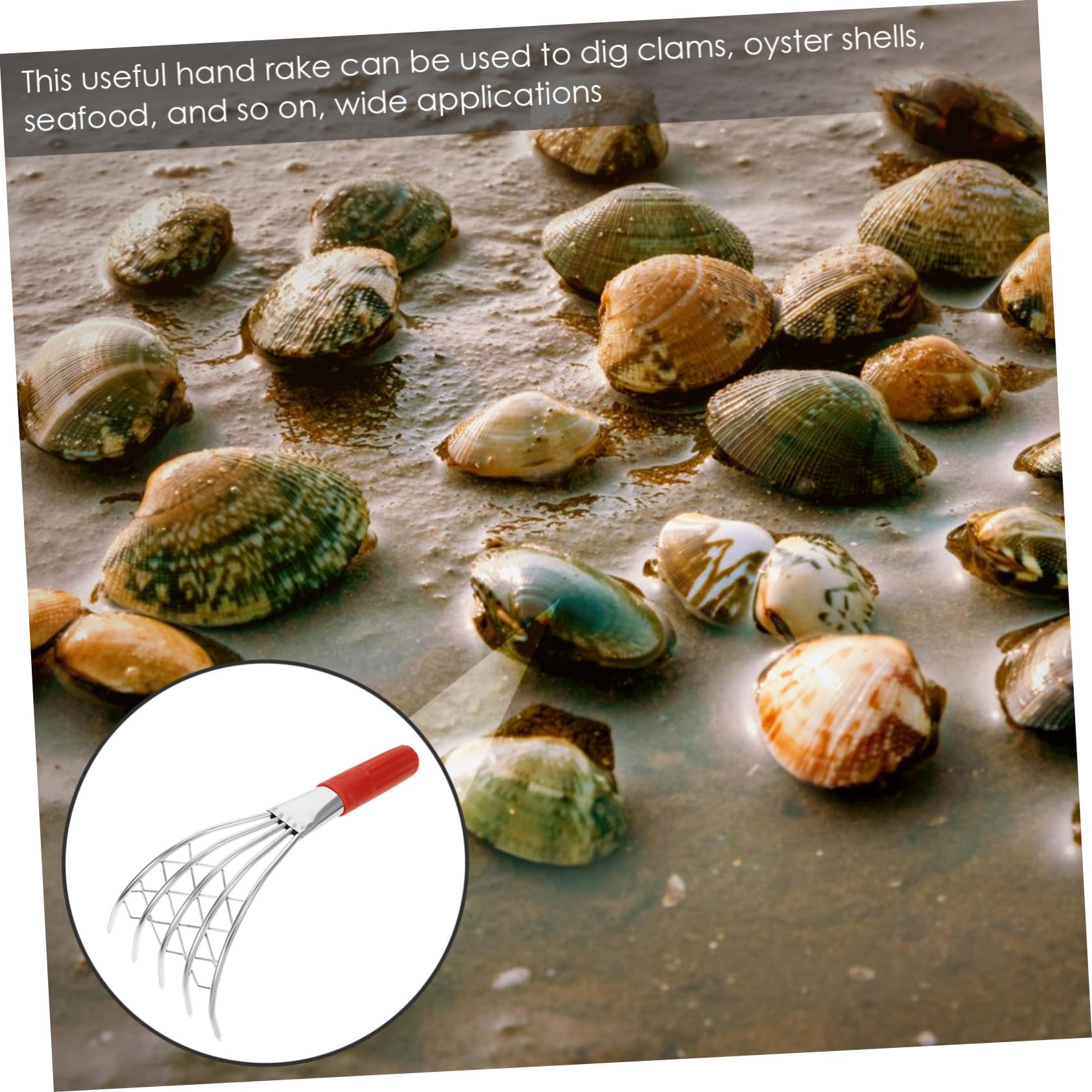 HEMOTON 4 Stück Kompakter Muschelrechen mit Ergonomischem Wiederverwendbares Strandwerkzeug zum Muscheln und Meeresfrüchte