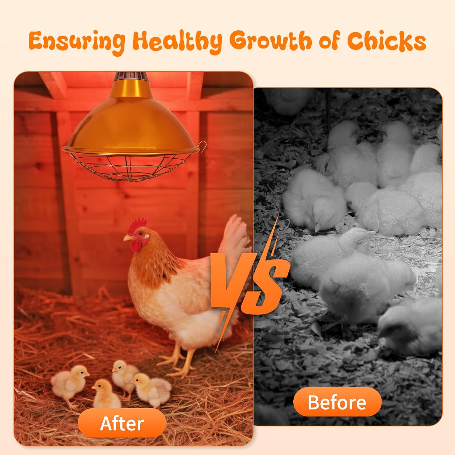 Large Chicken Coop Heat Lamp with 250w Infrared Heat Bulb, Adjust 2 Mode Temperature&Hanging Height,with Aluminum Reflector for Coop Brooder,Cat,Puppy,Lamb