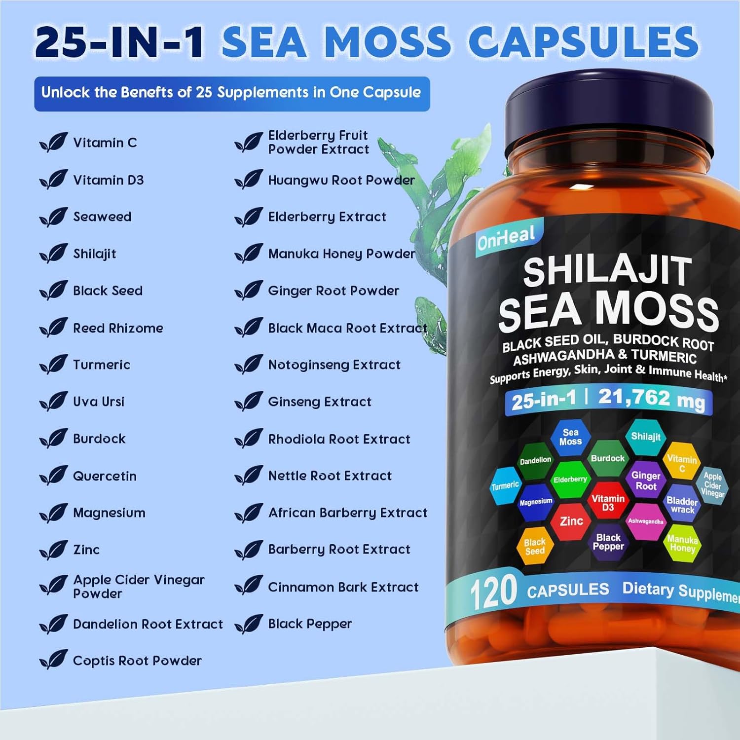 25-in-1 Sea Moss Black Seed Oil Ashwagandha Ginger Shilajit Supplement, with Burdock Root, Rhodiola Rosea, Vitamins C & D3, Shilajit Capsules for Men & Women - Boosts Energy, Skin, Joints & Immunity - Image 2