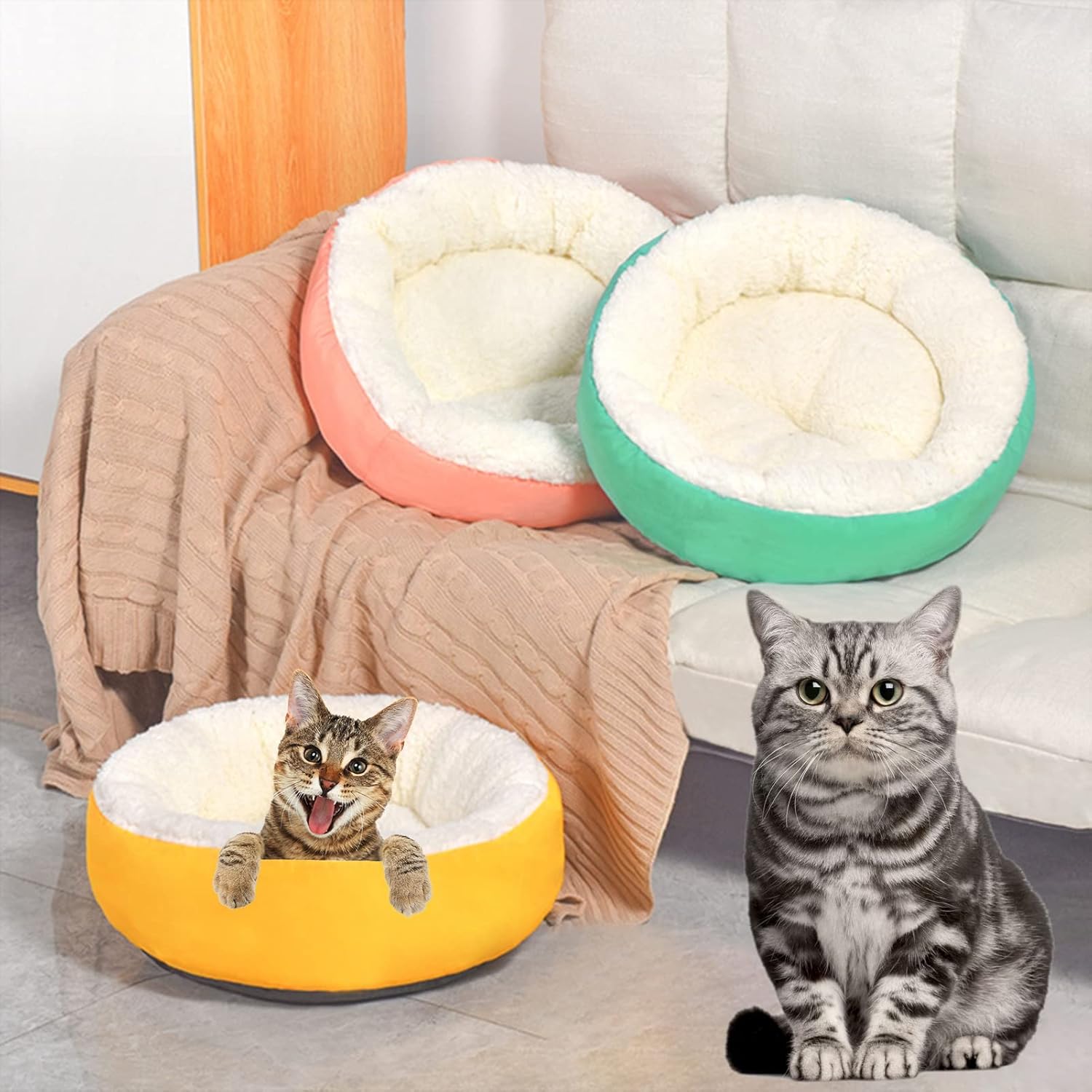 review Calming Dog Bed Cat Cushion Bed, Lamb Velvet Warming Pet Bed, Comfortable Cuddler Round Bed for Small Medium Dogs Cats House Indoor Sleeping Bed Green M