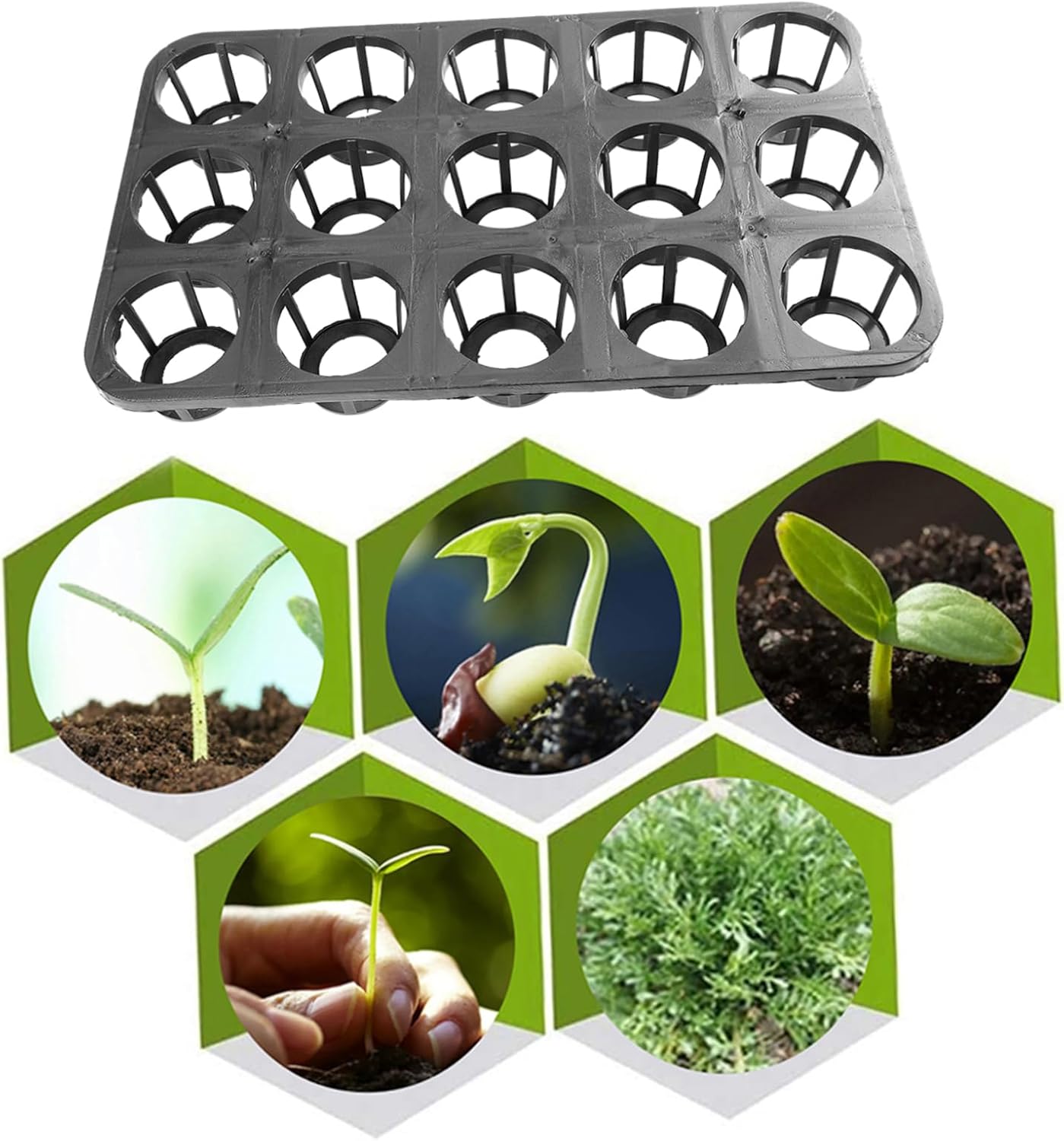 Garneck 5pcs Plant Germination Trays Cell Plastic Nursery Sowing Trays for Flower Seed Starting Lightweight Durable Material and Easy to Clean for Microgreens and Clones