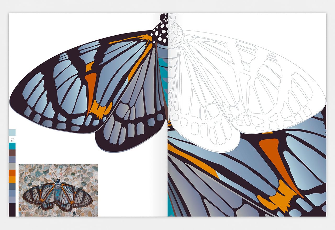 Pachanga. Grafikdesign-Inspirationen aus dem cloud forest.