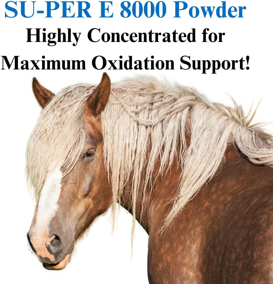 SU-PER E 8000 Horse Antioxidant Supplement - Concentrated Vitamin E Supplement for Performance Horses - 4 Pounds