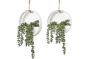 Artificial Succulents Hanging Plants 2pcs Fake String of Pearls Wall Decor