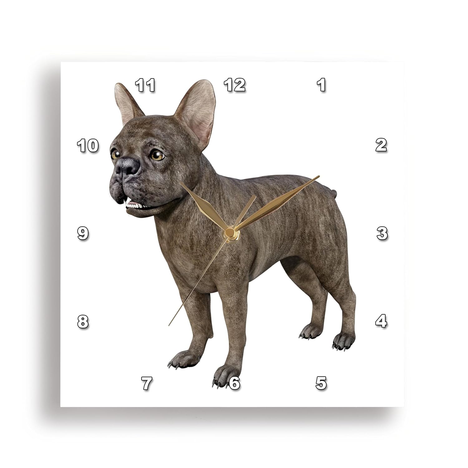 3dRose Wall Clock Silent - 10 inch - Frenchie Bulldog Brown Standing and Looking Right - Graphics Dog