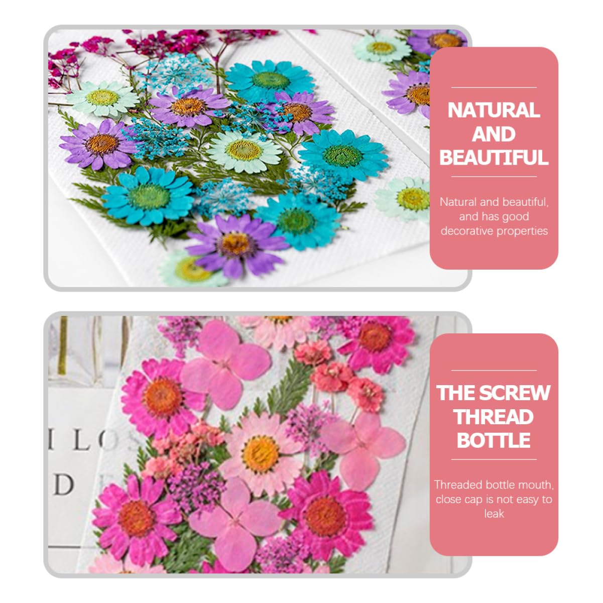 VILLCASE 200pièces Fleurs Séchées Naturelles pour Artisanat Matériaux Décoratifs pour Projets Créatifs Échantillons De Plantes Pressées Accessoires Manuels Décoration Unique Et