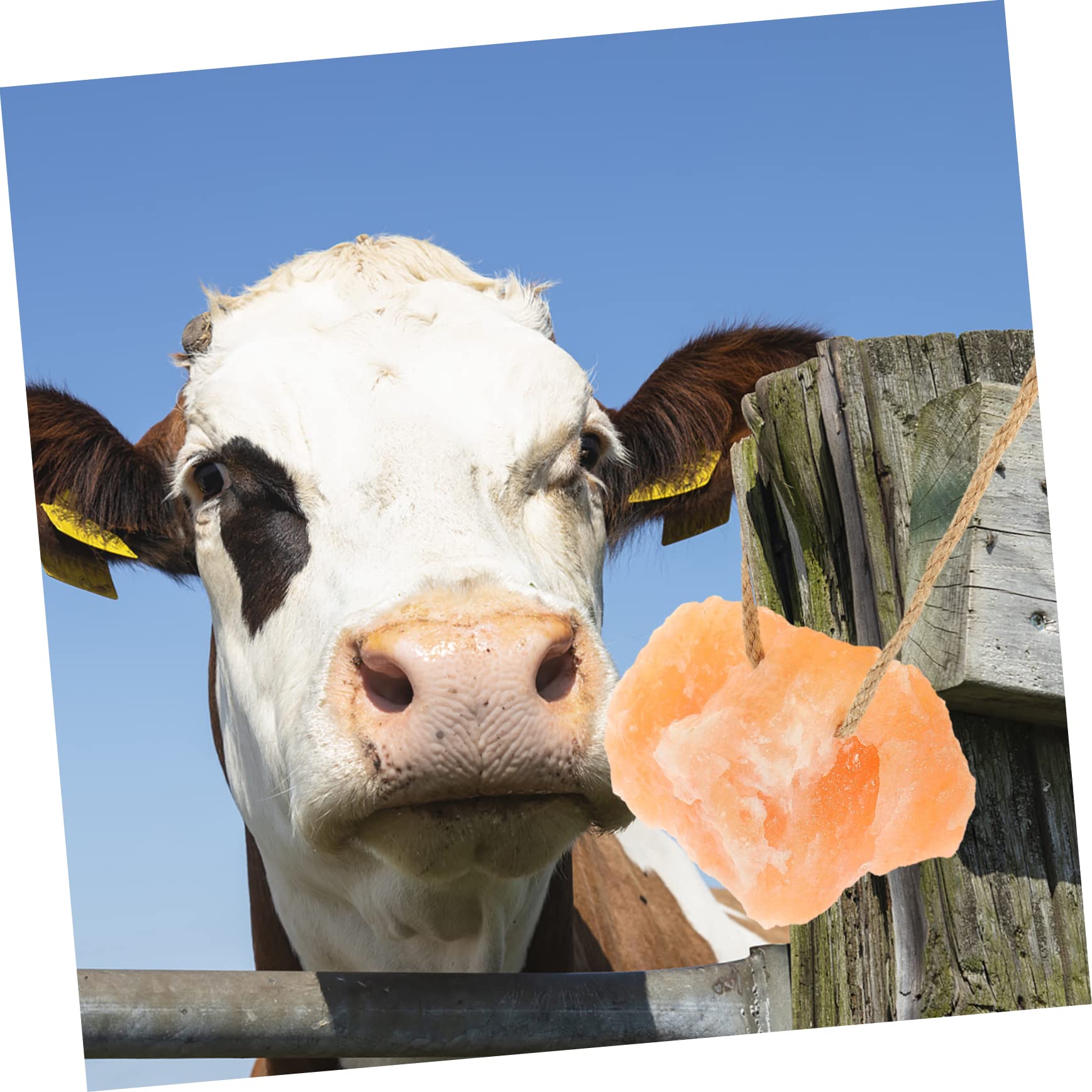 Bloc de Sel à Suspendu pour Bétail 1 Pièce Sel Naturel Supplément pour Animaux de Ferme