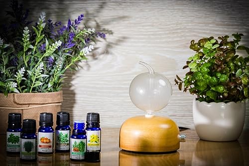 Miniatura 6 de Utama Spice Difusor atomizador de aceites esenciales Danau Satu