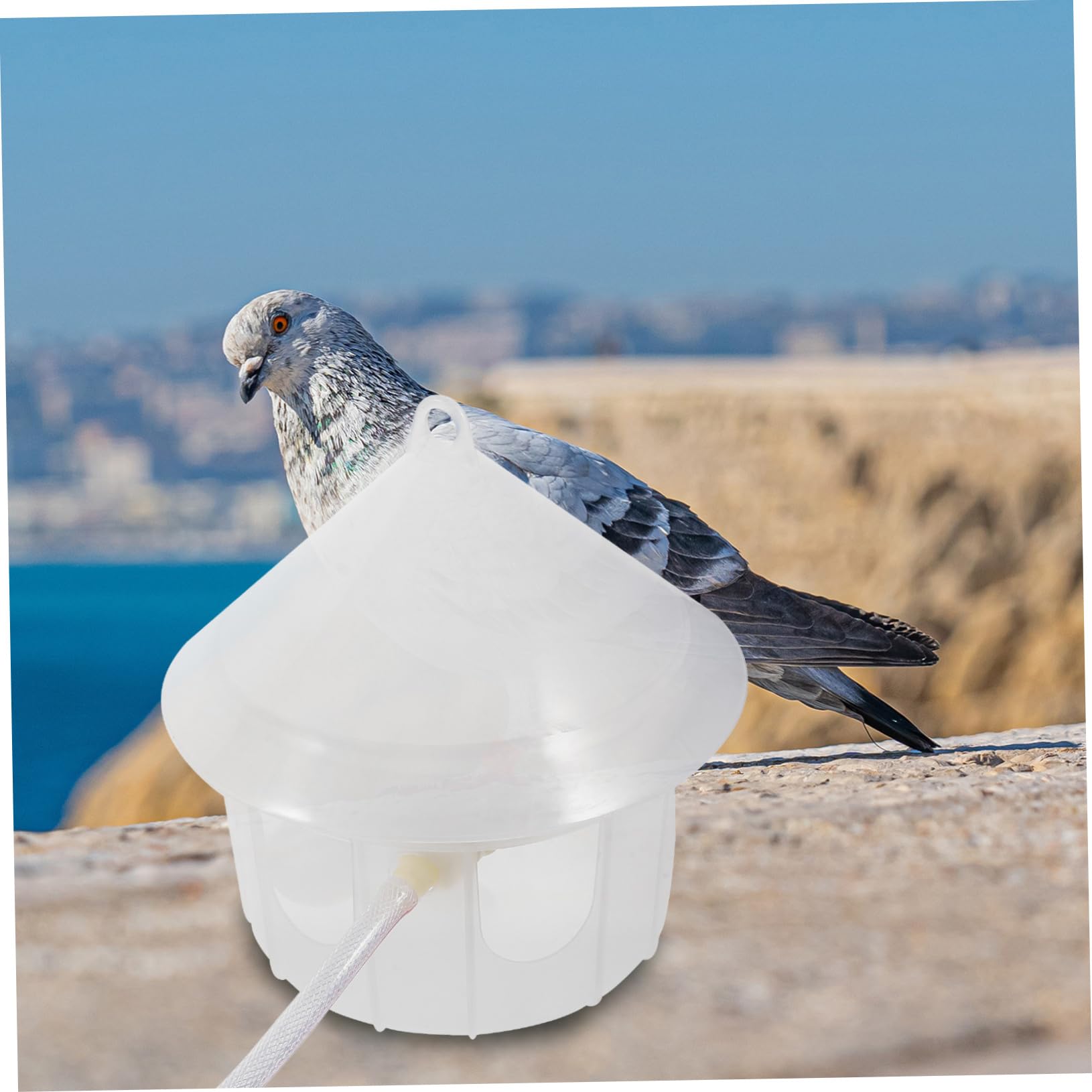 Abreuvoir Automatique pour Pigeons, Plastique, Grosse Capacité