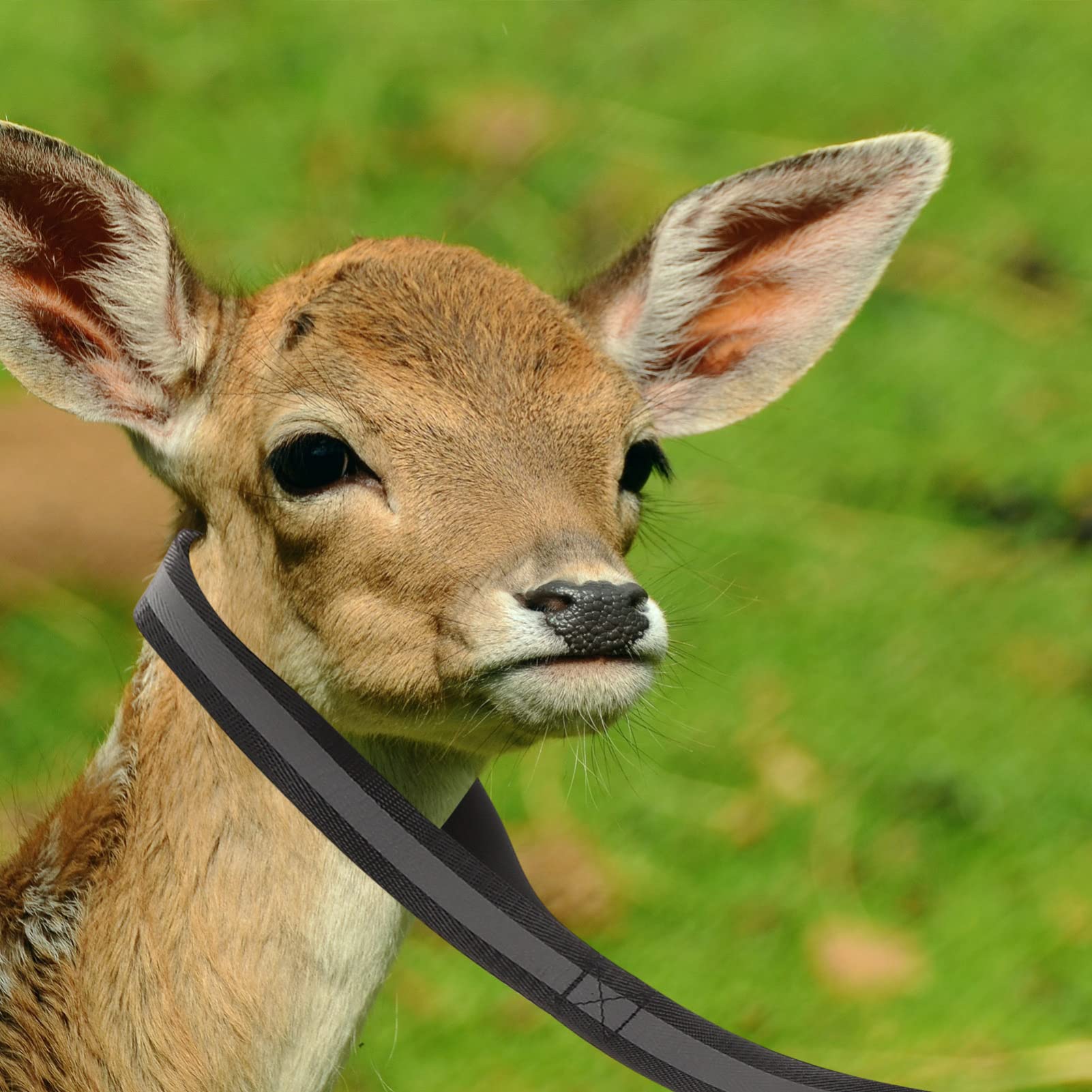 BESPORTBLE Hunting Accessories Deer Heavy Duty Deer Drag Outdoor Hunting Strap Sturdy Rope