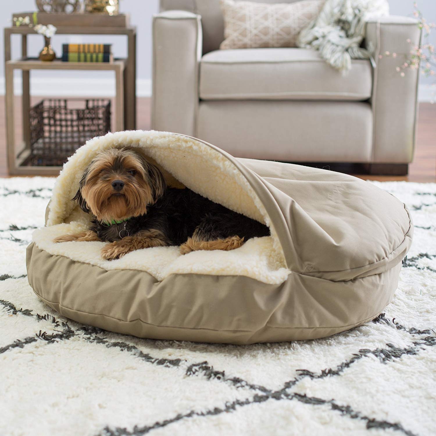 hayneedle dog bed