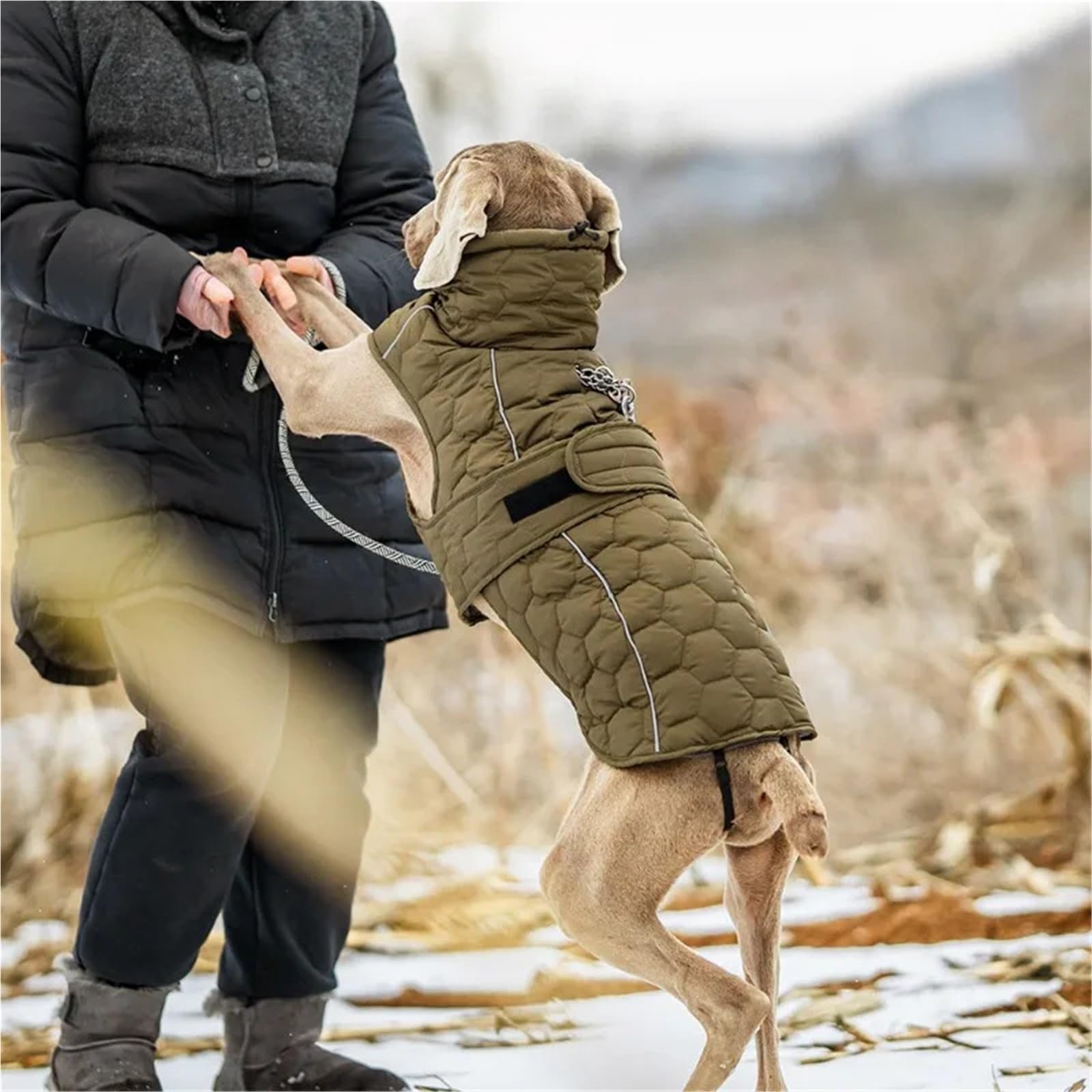 Manteau réfléchissant pour chien - Veste d'hiver matelassée chaude réglable pour petits chiens, moyens et grandes tailles(Gray,XXL)