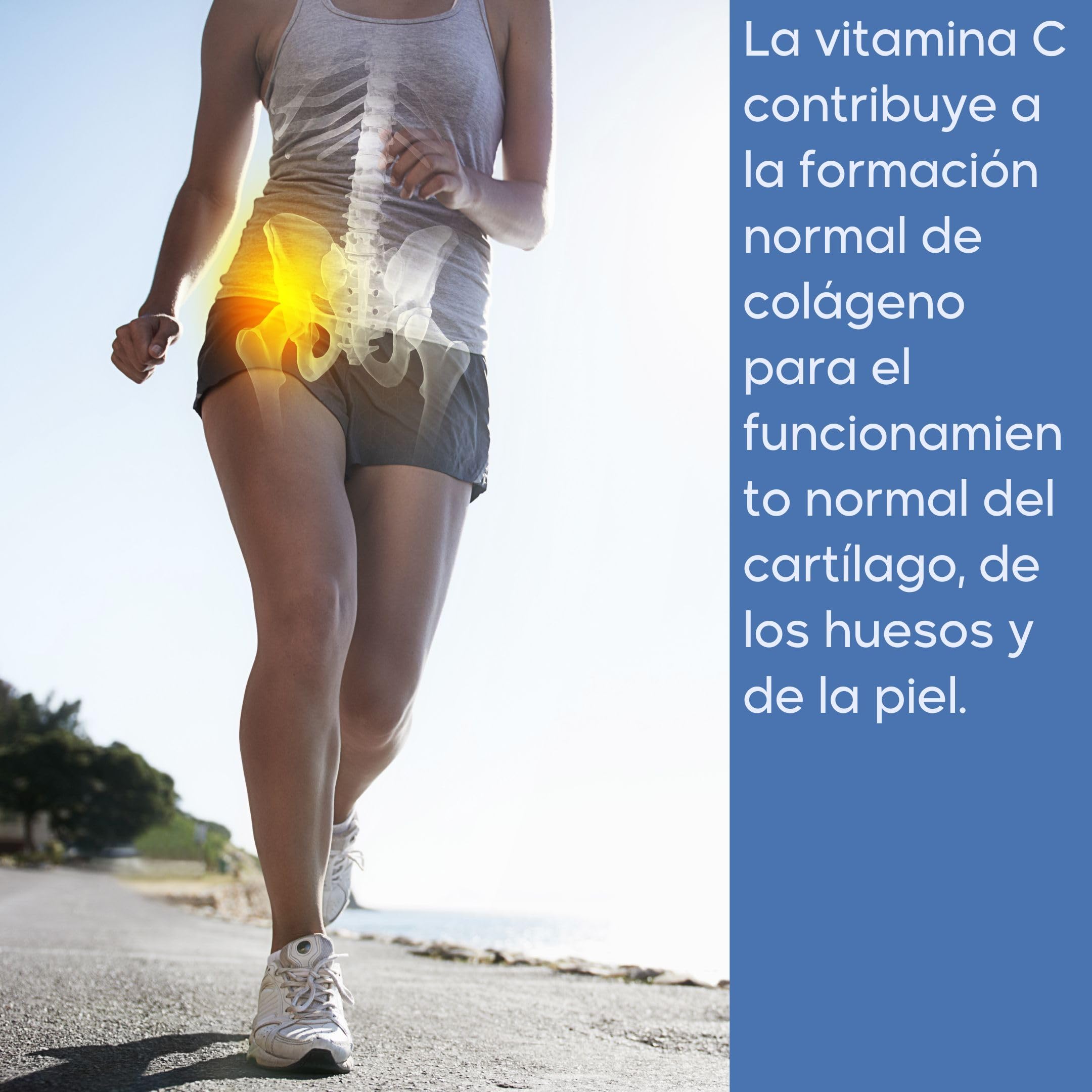 Colágeno hidrolizado con magnesio, ácido hialurónico y vitamina C – Para huesos, articulaciones, piel y cartílagos – Contribuye a la formación y mantenimiento del colágeno | 630 g en polvo