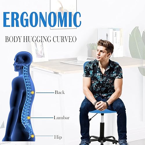 Miniatura 5 de Better Choicet Silla de oficina ergonómica para computadora con lumbar ajustable, silla de escritorio sin brazos, giratoria de malla giratoria con