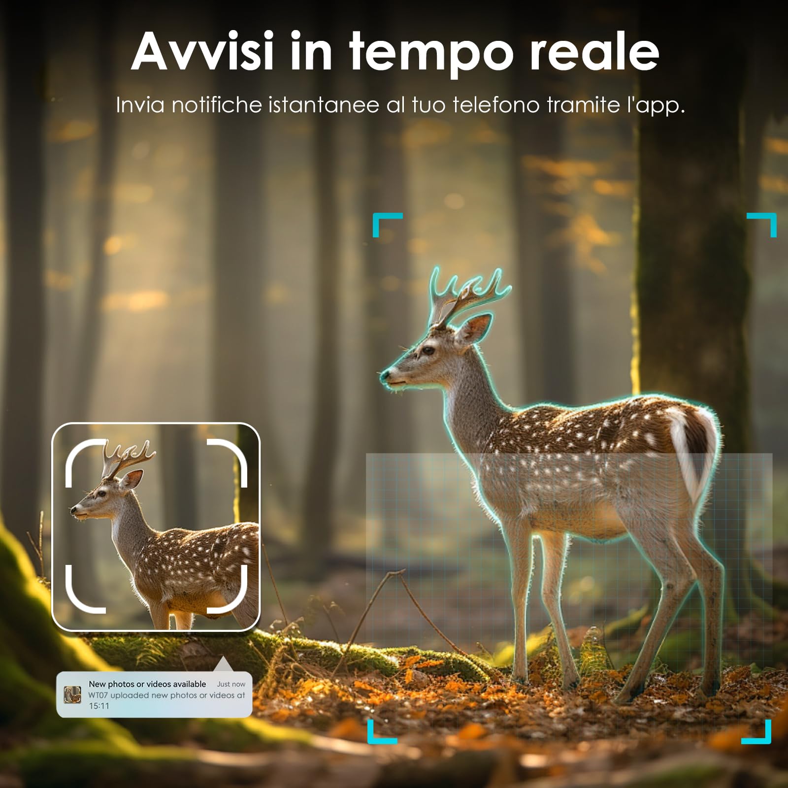 WOLFANG Fototrappola 4G con SIM, 2K 48MP HD Fotocamera Caccia con Infrarossi Rilevatore di Movimento Visione Notturna IP66 Impermeabile per la l'osservazione la Fauna