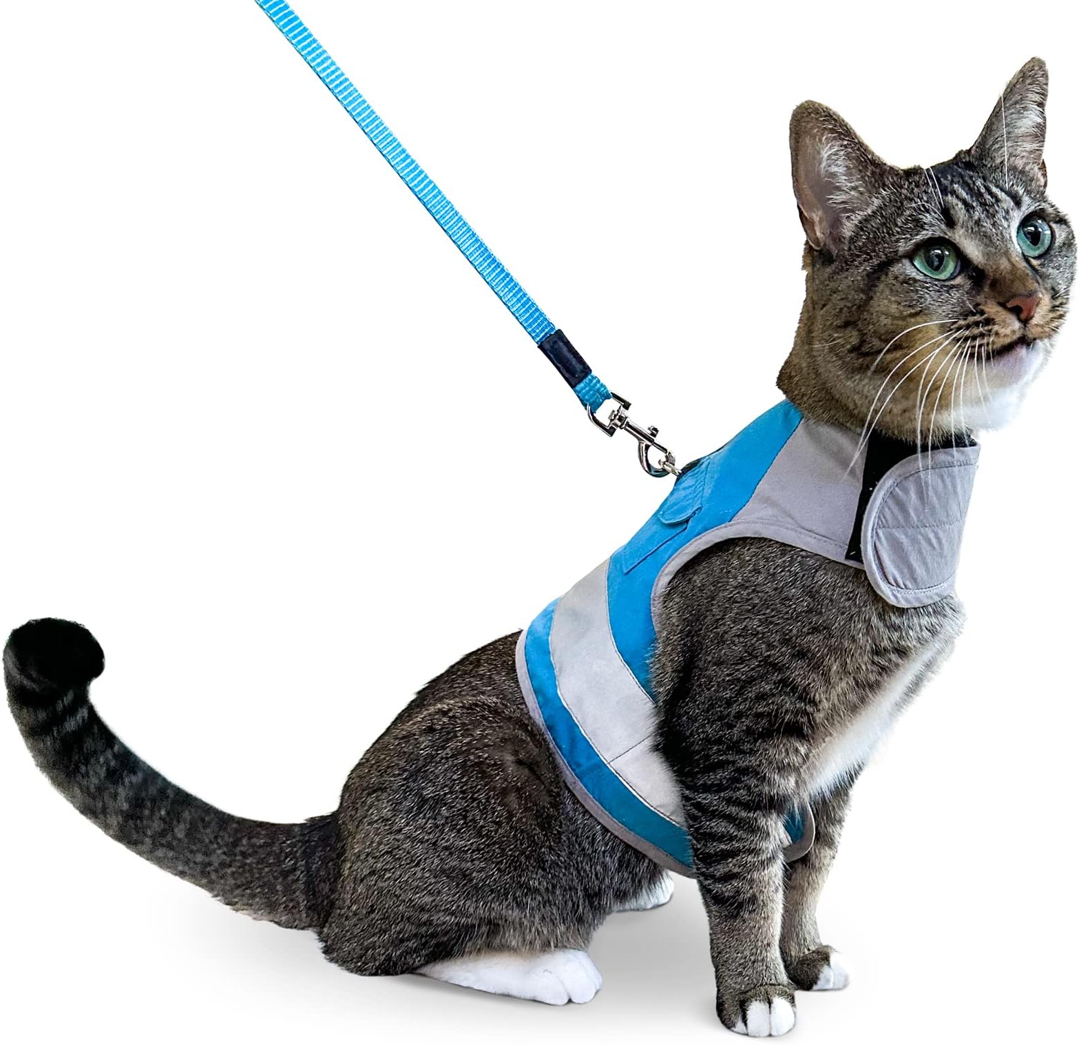 CAT SCHOOL Cat Harness and Leash Set for Outdoor Walks, Training, and Travel - Secure, Soft, Comfortable Cat Vest Harness with 10' Long Cat Leash - Easy to Use with Step-by-Step Instructions
