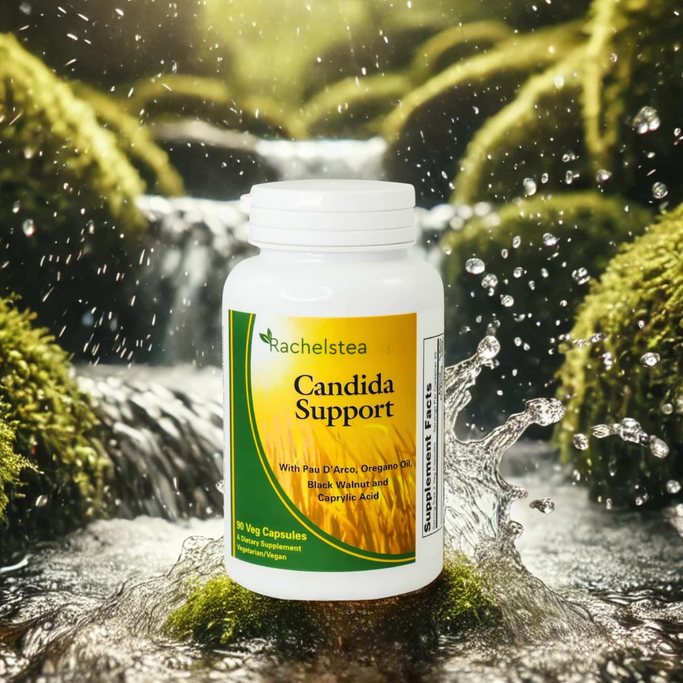 Rachelstea Candida Support, Intestinal Flora, with PAU D'Arco, Oregano Oil, Black Walnut, and Caprylic Acid, 90 Veg Capsules, A Dietary Vegetarian/Vegan Supplement
