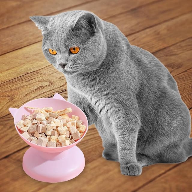 Foto 2 de 8 de Comedero para gatitos, cuenco para gatos envejecido elevado