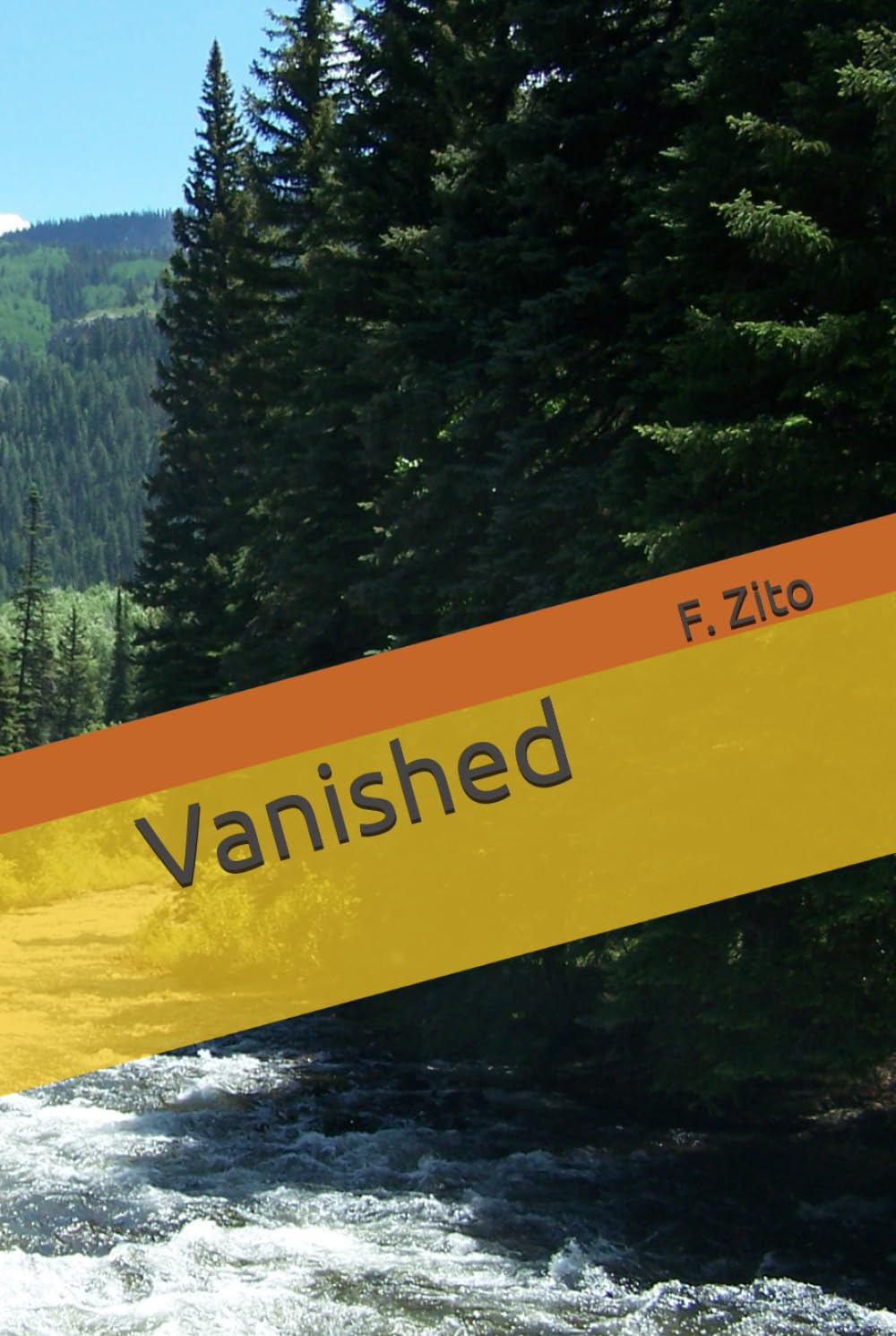 Vanished (Mystery Thrillers)