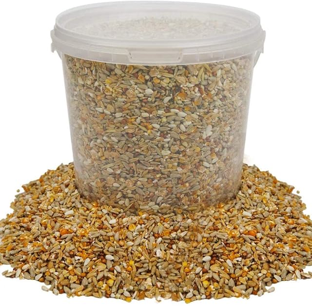 BusyBeaks No Mess Seed Mix | Garden Wild Bird Food Mixture | Husk and Shell Free Seeds | Premium Quality Balanced Formula | Protein-Rich Great Source of Energy | Attracts Various Birds (1L Tub)