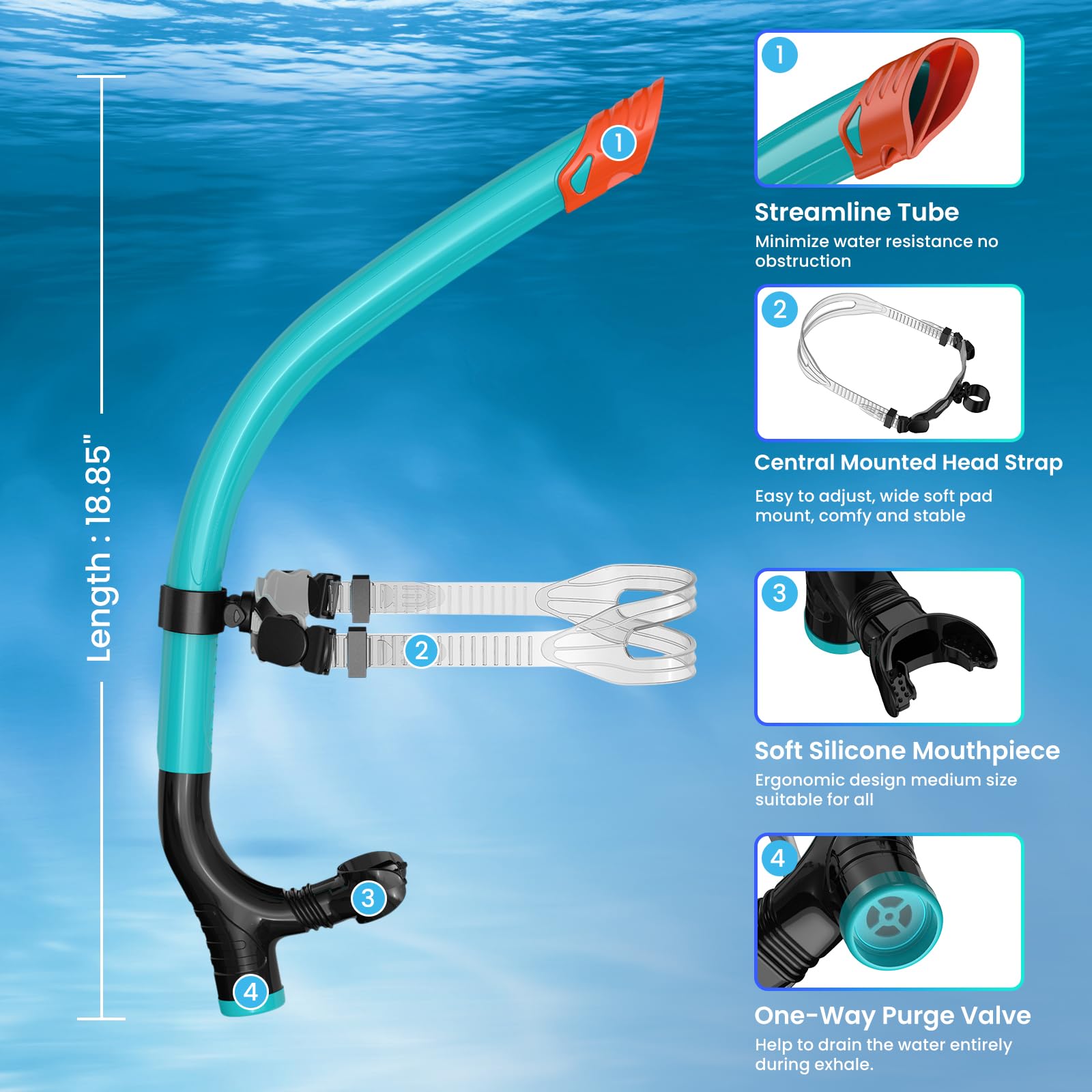 Snorkel Lap Natación Nadador Entrenamiento Buceo Snorkeling para Piscina Aguas Abiertas, Verde
