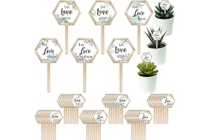 48 Pcs Let Love Grow Succulent Tags Wedding Favors