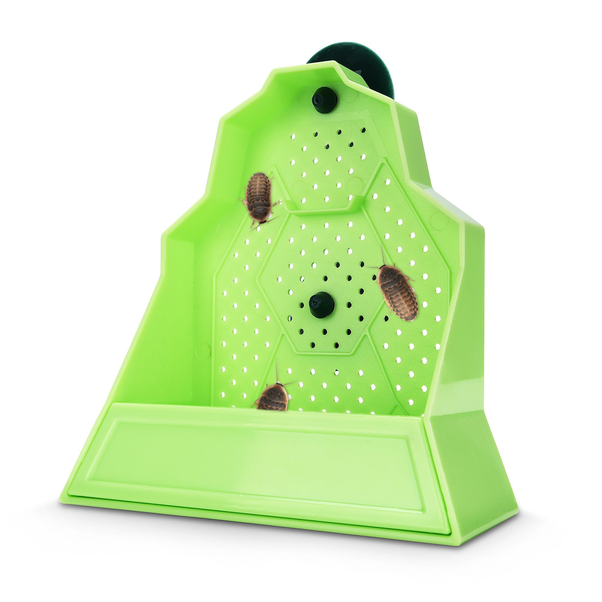 Reptile Anti-Escape Feeding Bowl, Wall-Mounted Feeder for Reptile, Stimulate Hunting Accessories for Terrarium, Vivarium and Paludarium, Suitable for Lizard, Gecko & Frog, Small-image-18