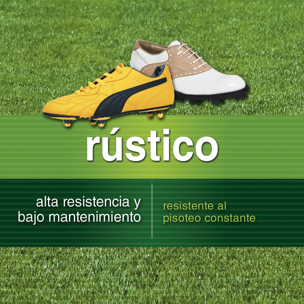 Flower - Heavy Duty Rustic Grass Seeds 1kg | Fast Growing | Ideal for Passage Areas | Low Maintenance | Covers 35m2 | Drought Resistant - 4