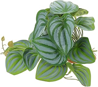 TEHAUX Caixa Pet De Escalada Paisagismo Pequeno Terrário Lagartixa Terrário Terrários De Vidro Para Plantas Plantas De Répteis Tanque De Peixes Simulação De Plantas Decoração De Terrário