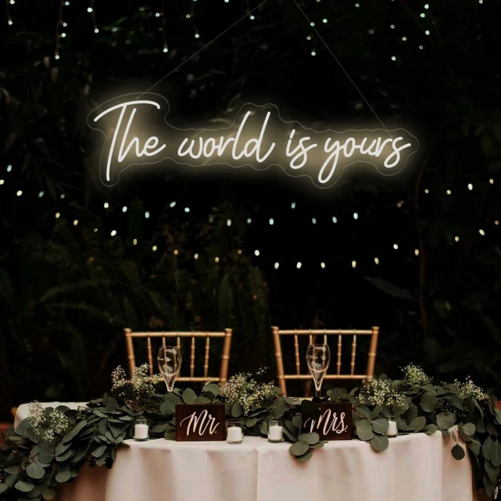 The World is Yours Neon Sign for Wall Decor, LED Light Signs for Bedroom Game Room Man Cave Home Bar Bistro Club Cafe Wedding Graduation Party Birthday Gift
