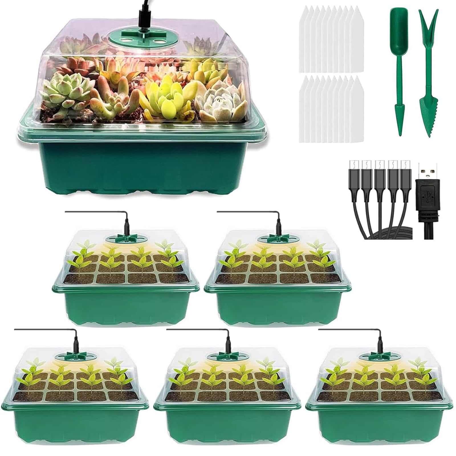 5 Pack Propagator with Lights, Seed Trays, Seed trays with lids, Mini Greenhouse Propagator kit for Germination Growing