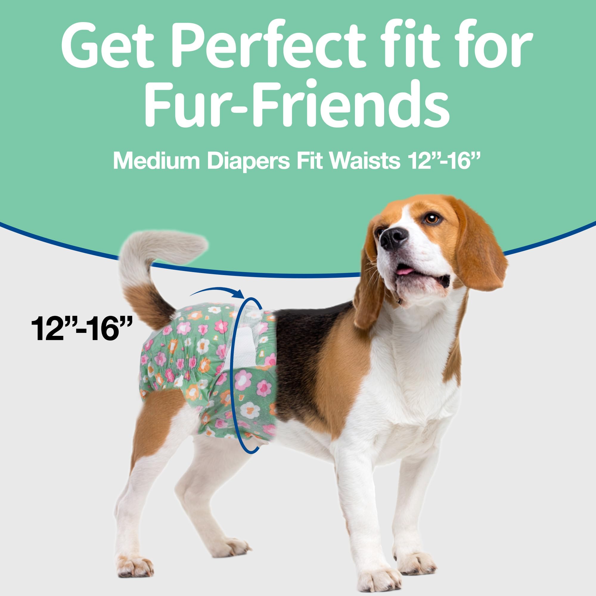 Pet Soft Einweg Hundewindeln für Hündinnen, 24 Stück Hochsaugfähige Katzenwindeln Hundewindeln Weiblich mit Verstellbarem Schwanzloch (M, 24 Stück)
