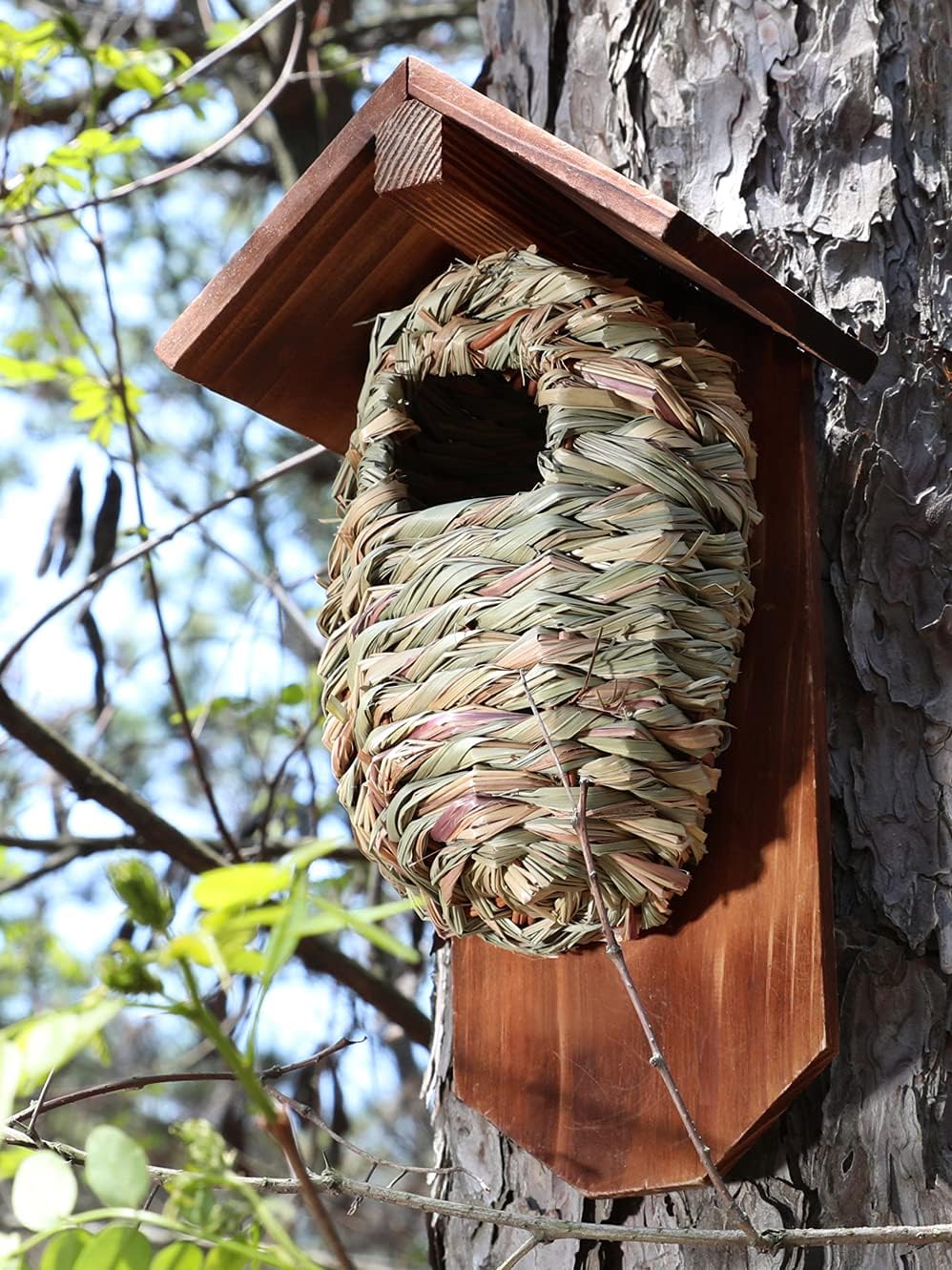 SISTERBIRD Bird Houses for Outside Birdhouses Grass Hand Woven Natural Nest Outdoor Hanging Hummingbird Finch Canary Chickadee