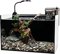 WURJHSONG 2.8 Gallon Nano Nature Aquarium Kit - Ultra-Clear Glass Tank with Waterfall Filter & LED Light for Betta, Goldfish, Shrimp