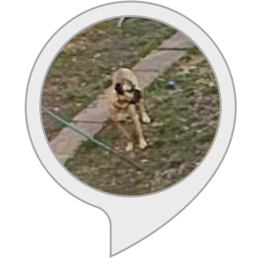 Smart Home Guard Dog Barking SIMEON TUITT AUDIO Alexa Skills