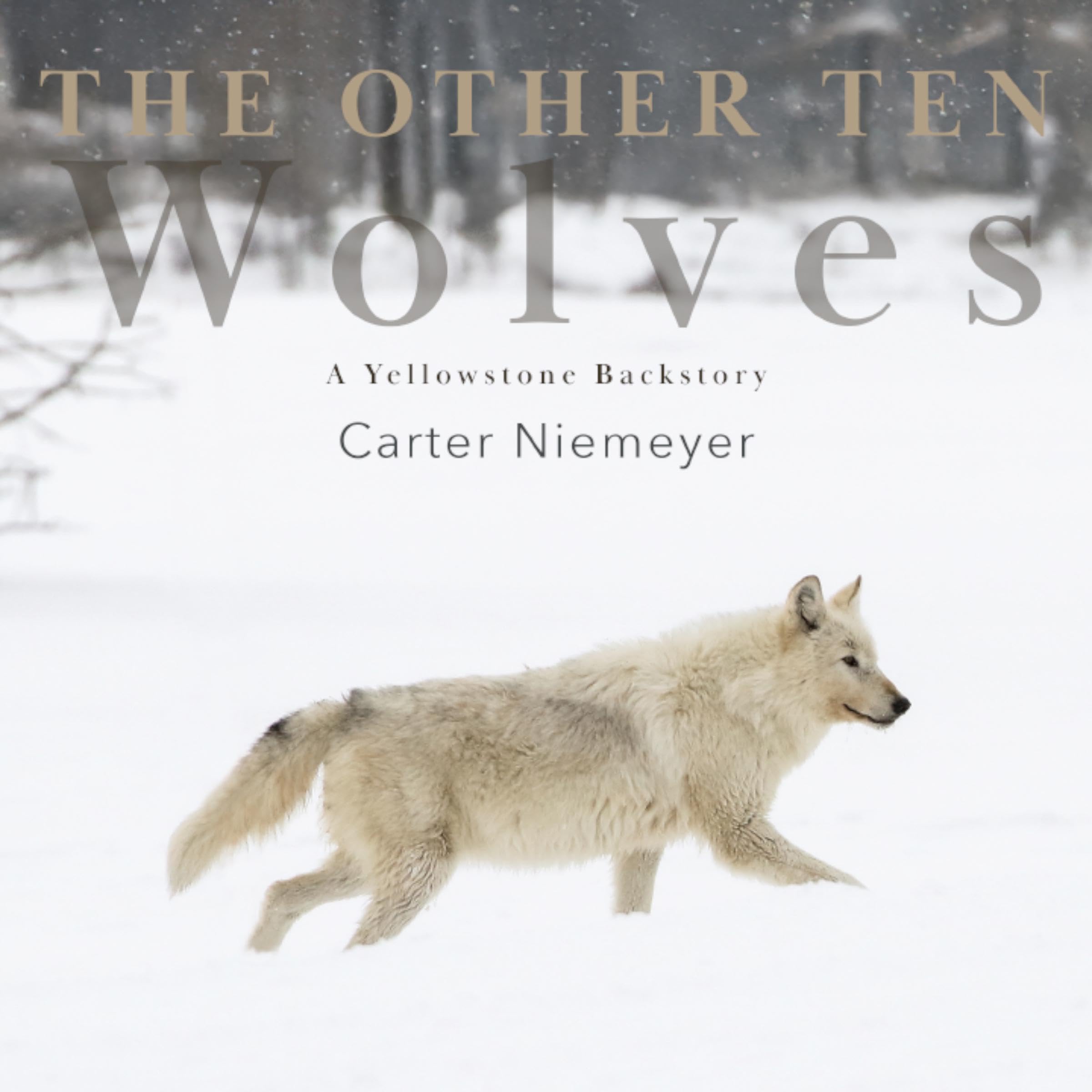 Cover art for The Other Ten Wolves