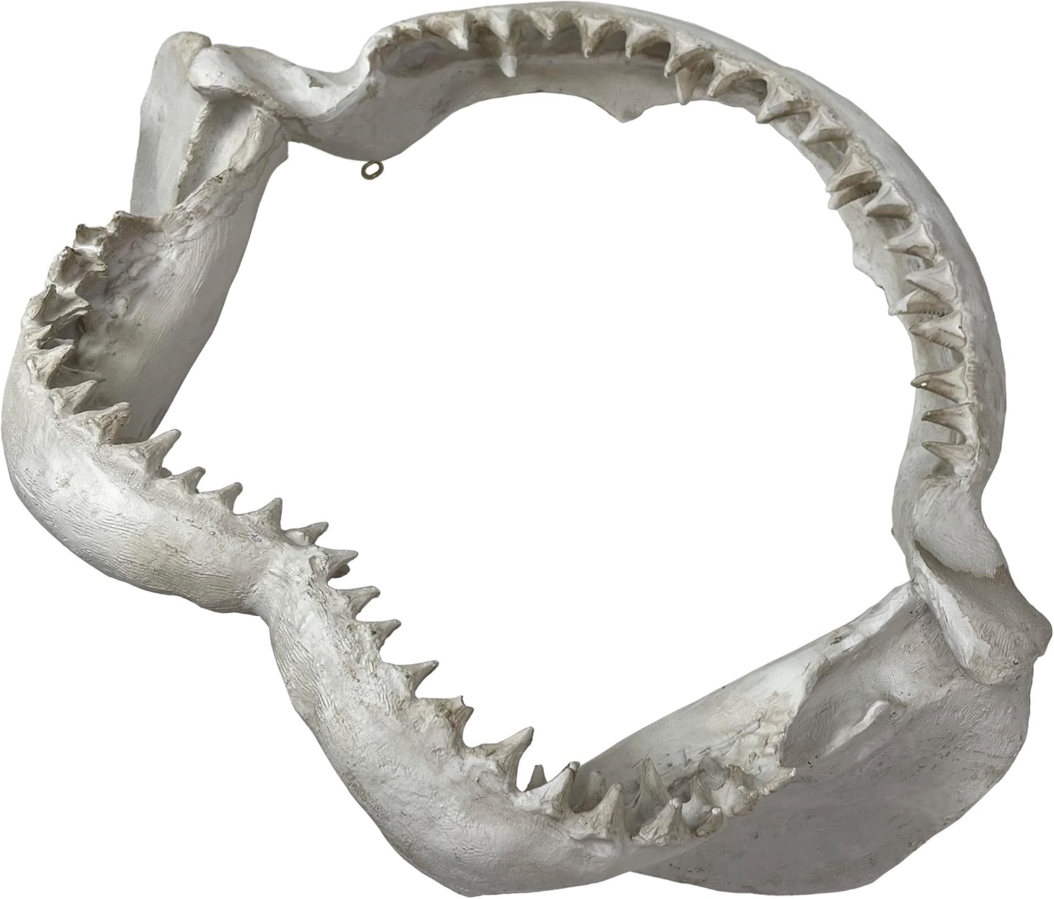 Replica Shark Jaw Wall Sculpture – Realistic Resin Shark Jaws with Teeth, Off-White Coastal Nautical Wall Art, Marine Ocean Decor for Home, Office, Beach House, Man Cave, 16 Inch
