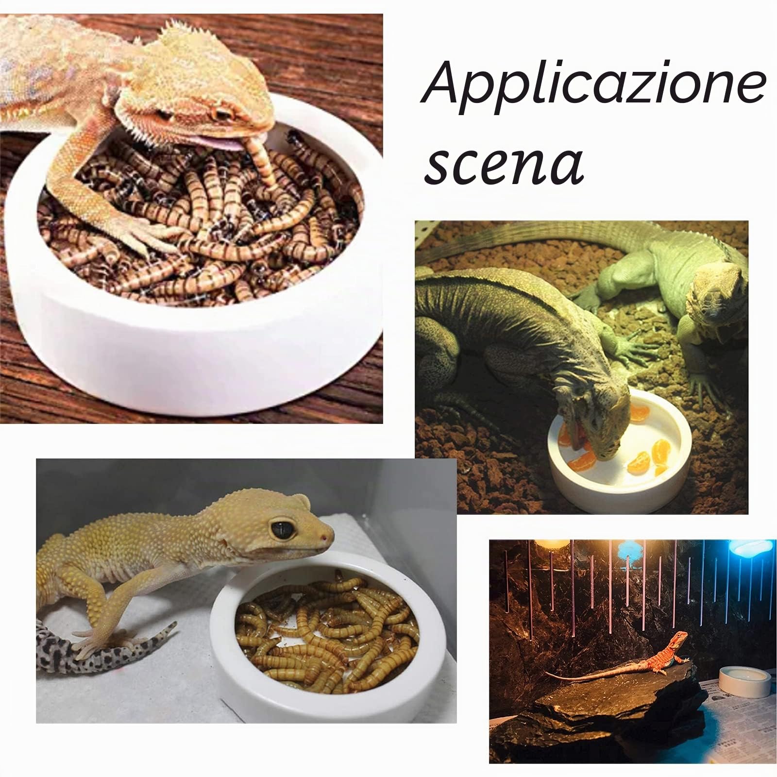 AHANDMAKER Mangiatoia per Rettili, Mangiatoia per Rettili, Ciotola Anti-Fuga, Mangiatoia per Rettili Nera a Prova di Fuga, Vasetto per Acqua di Vermi Piccola Lucertola Geco Ciotole