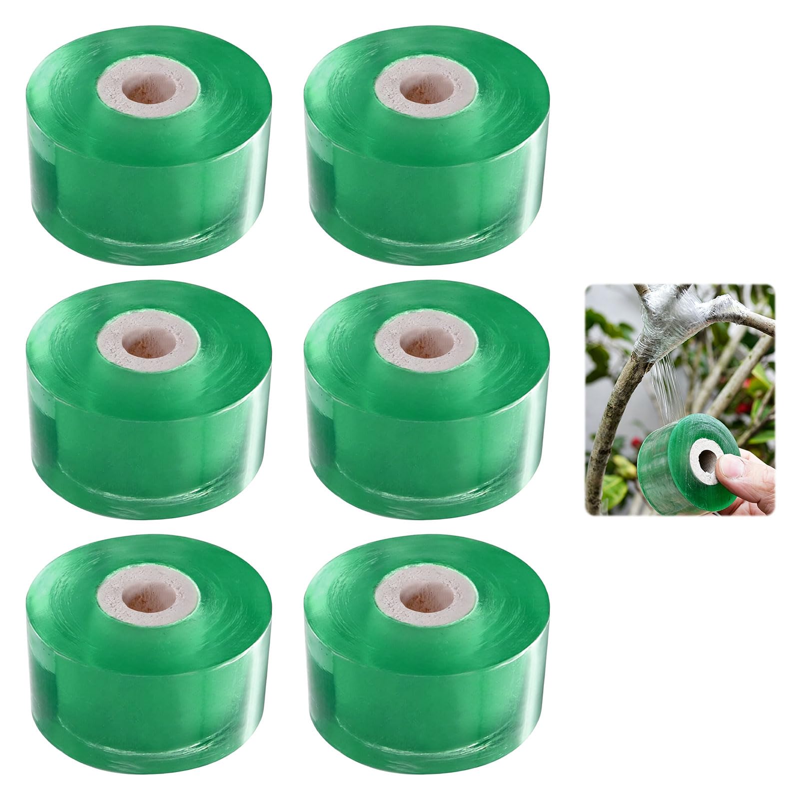 Lilyphon 6PCS Grafting Tape Stretchable Self Adhesive Transparent Plant Tape, Biodegradable Plant Parafilm Grafting Tapes for Garden Nursery Fruit Tree Branch Graft, 2cmx100m