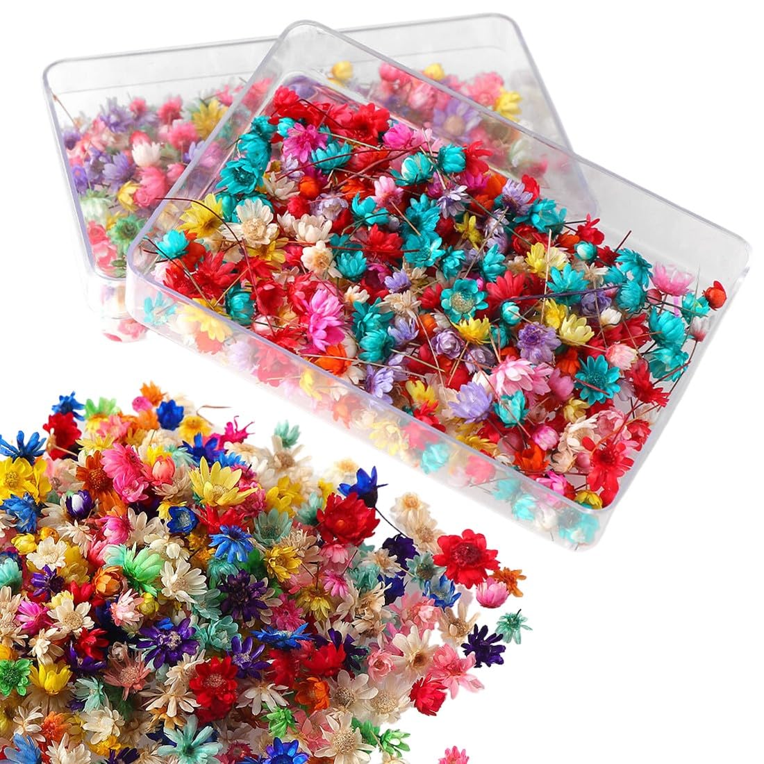 841 Fleurs Séchées Naturelles - Kit DIY Pour Bougies, Résine, Bijoux, Cartes - Avec Pince