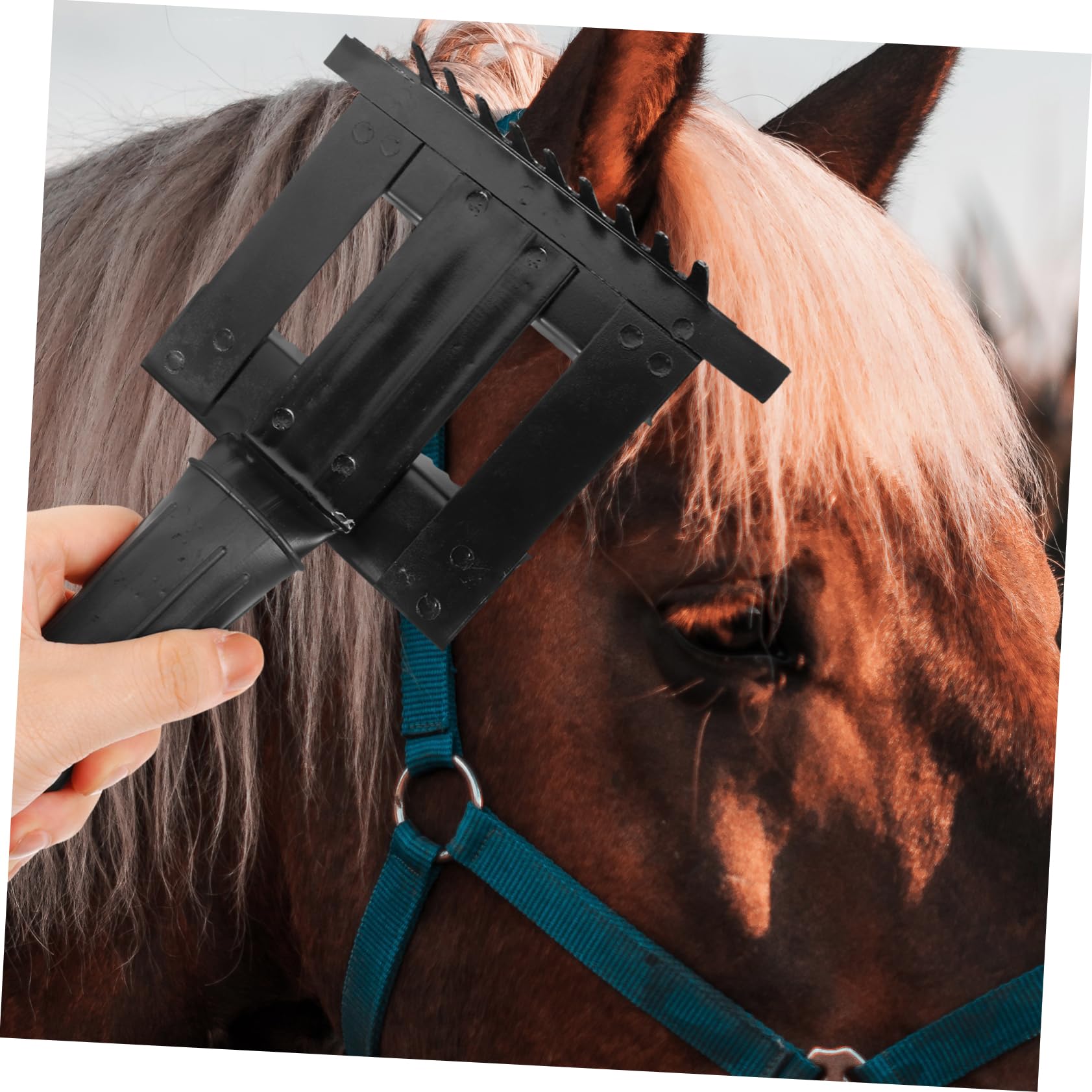 BESPORTBLE 4 Pz Rastrello Antiprurito Raschiatori Per Pellicce Di Bestiame Pratico Pettine in Crine Di Cavallo Spazzola Per Di Animali Pettine Di Crine Di Cavallo Black Metallo