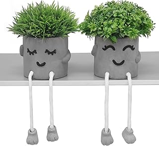 MAKHOT Set of 2 Artificial Succulent Plants in Pots, Fake Plant Faux Suc...