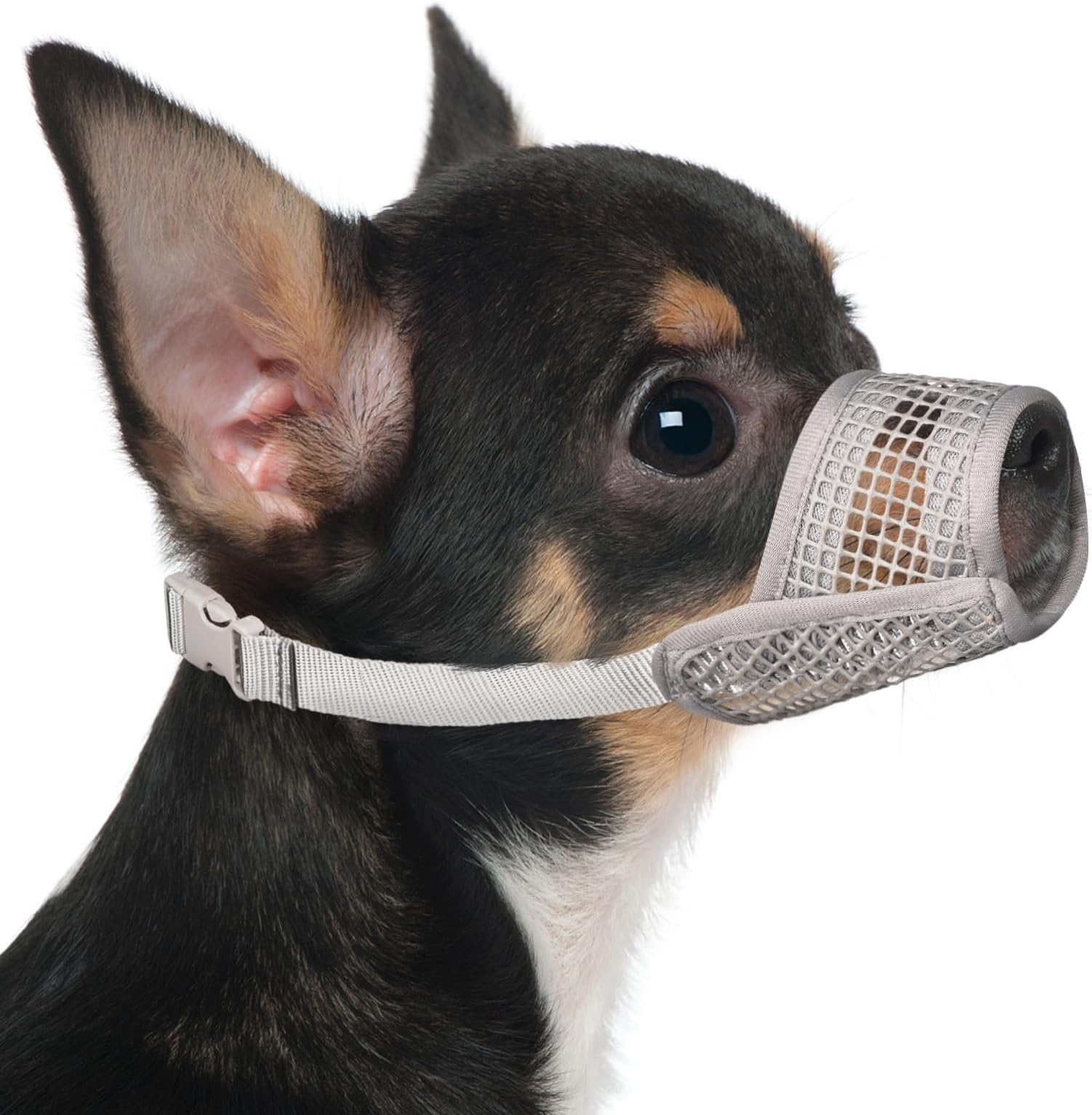 MayerzonDog Muzzle, Soft Mesh Muzzles for Small Dogs Chihuahua Toy Poodle Dachshund, Breathable Dog Mouth Guard for Biting Chewing Grooming, Allow Panting Drinking (XXS, Dark Grey)