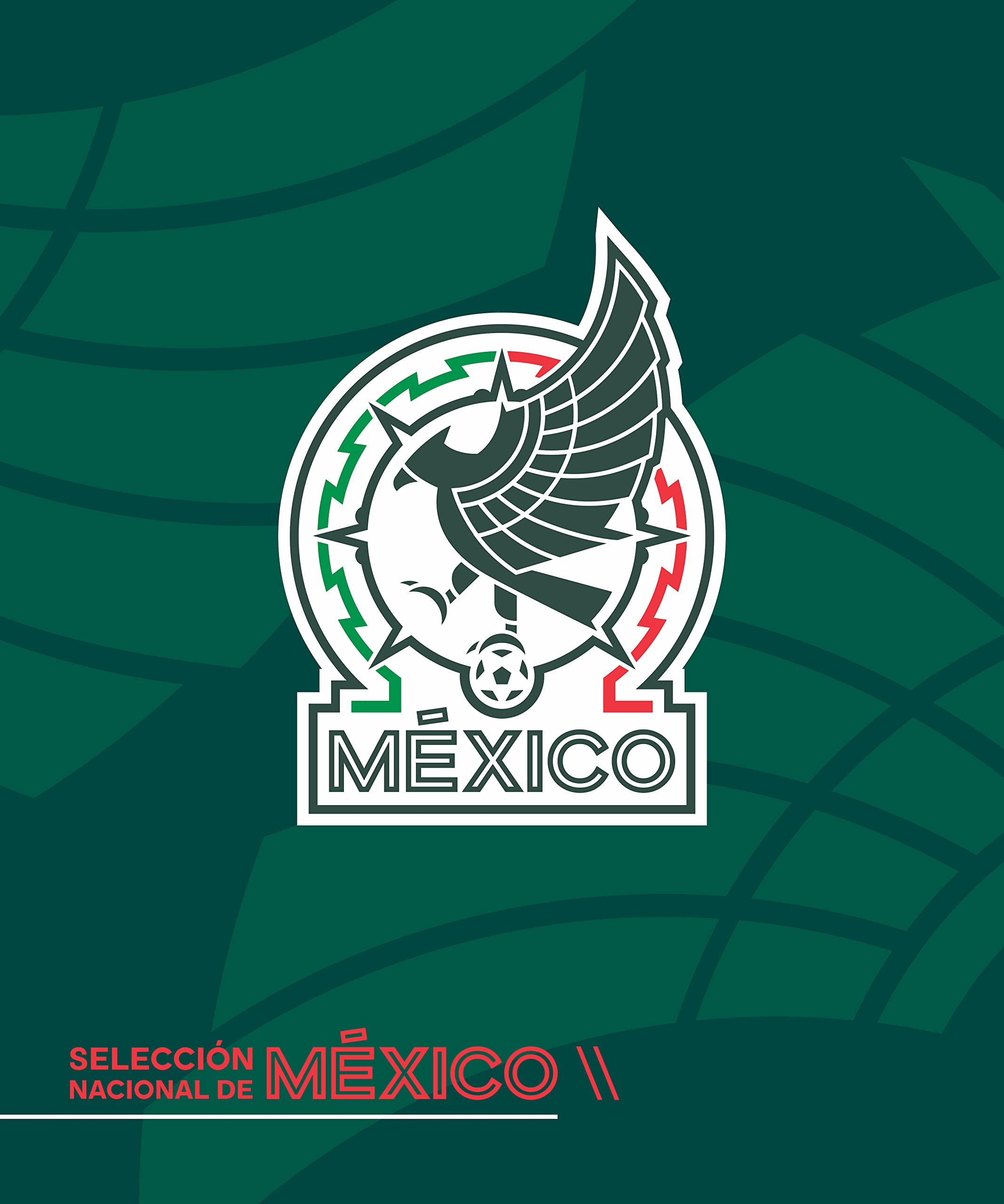 Mexico National Team Throw Sofa Blanket Size 46