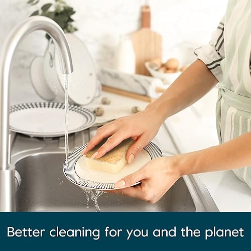 Miniatura 5 de Grove Co. Esponjas, esponja de cocina de coco natural, doble cara, antiarañazos, celulosa súper absorbente a base de plantas con estropajo de