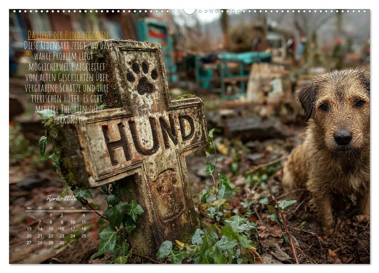 Nicht 08/15 - Deutsche Redewendungen und ihre Herkunft (hochwertiger Premium Wandkalender 2026 DIN A2 quer), Kunstdruck in Hochglanz: Familienkalender ... Sprüchen und Humor. (CALVENDO Wissen)