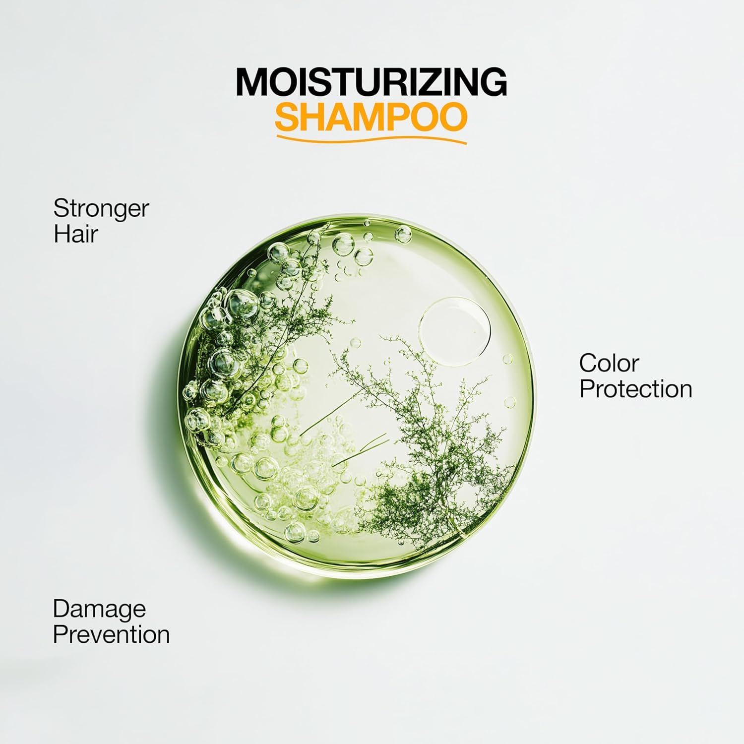 GK HAIR Moisturizing Shampoo for Color Treated Hair – Sulfate & Paraben Free Keratin Shampoo for Dry, Damaged & Frizzy Hair – Hydrating Color Protection Formula – 3.4 Fl Oz