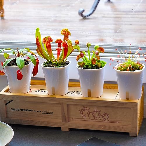 Miniatura 26 de TCBWFY Macetas de riego automático de 4 pulgadas para plantas de interior, 8 juegos de macetas de riego automático con ventana visual de nivel
