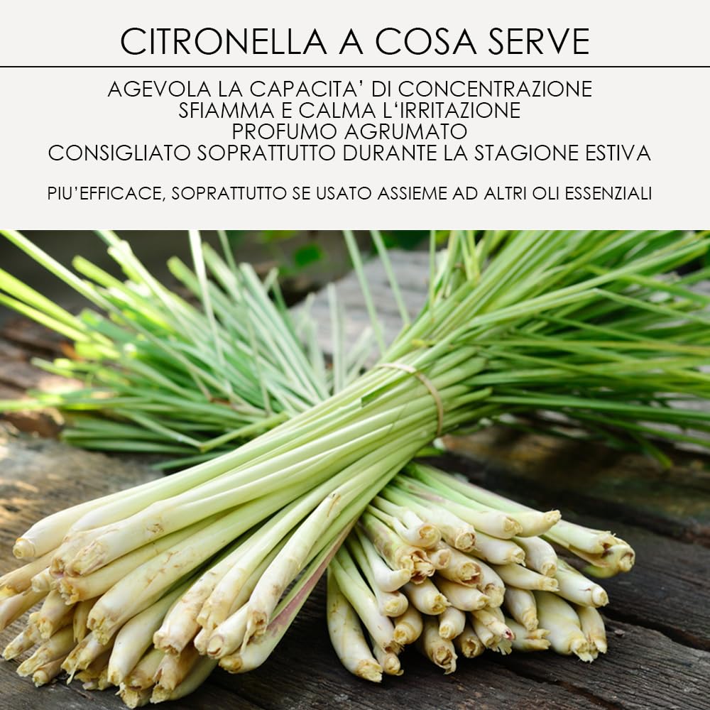 Wild Horses | Crema Gel Geranio & Citronella con Oli Essenziali, Azione Barriera contro gli Insetti, per un Manto Lucido e Profumato, 500g, Made in Italy