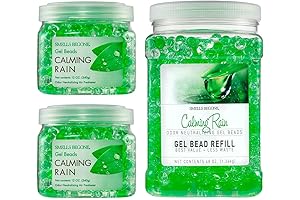 SMELLS BEGONE Car Mildew Smell Remover